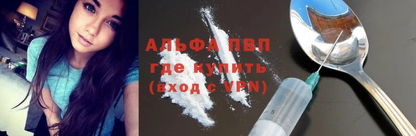 ешки Богданович