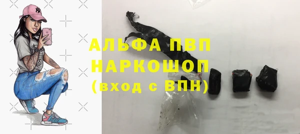 ешки Богданович