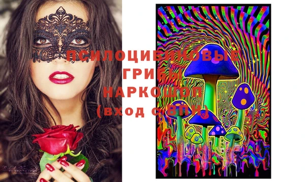 ешки Богданович
