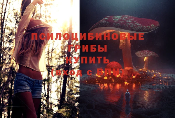 ешки Богданович