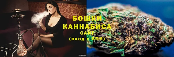 крисы Богородск