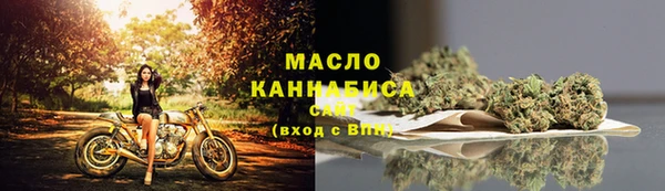 крисы Богородск